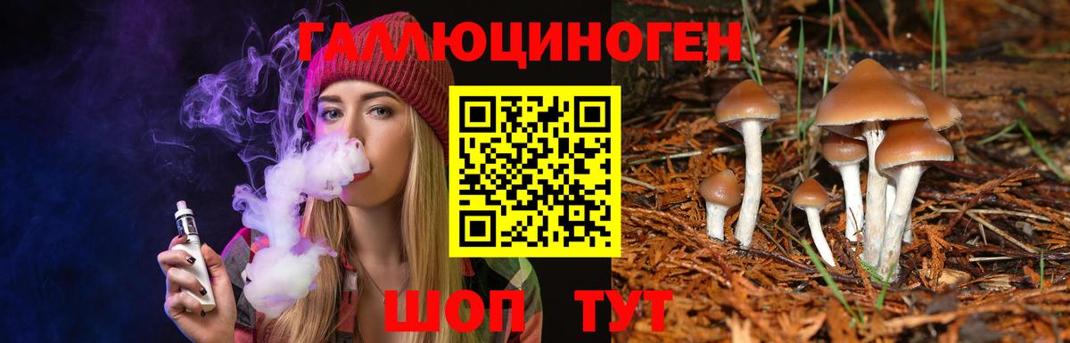 Галлюциногенные грибы мицелий  Вход с VPN  Кисловодск  цена   Псилоцибиновые грибы мухоморы 